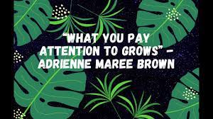 what you pay attention to grows - adrienne maree brown - YouTube